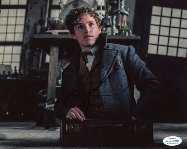 Eddie Redmayne Fantastic Beasts Signed Autograph 8x10 Photo ACOA