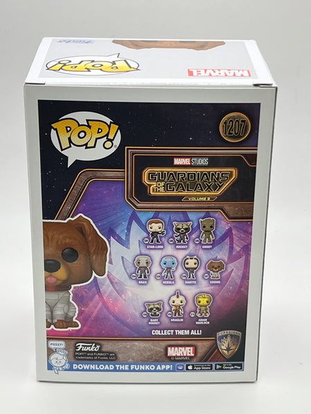 Maria Bakalova Guardians Signed Autograph Funko ACOA