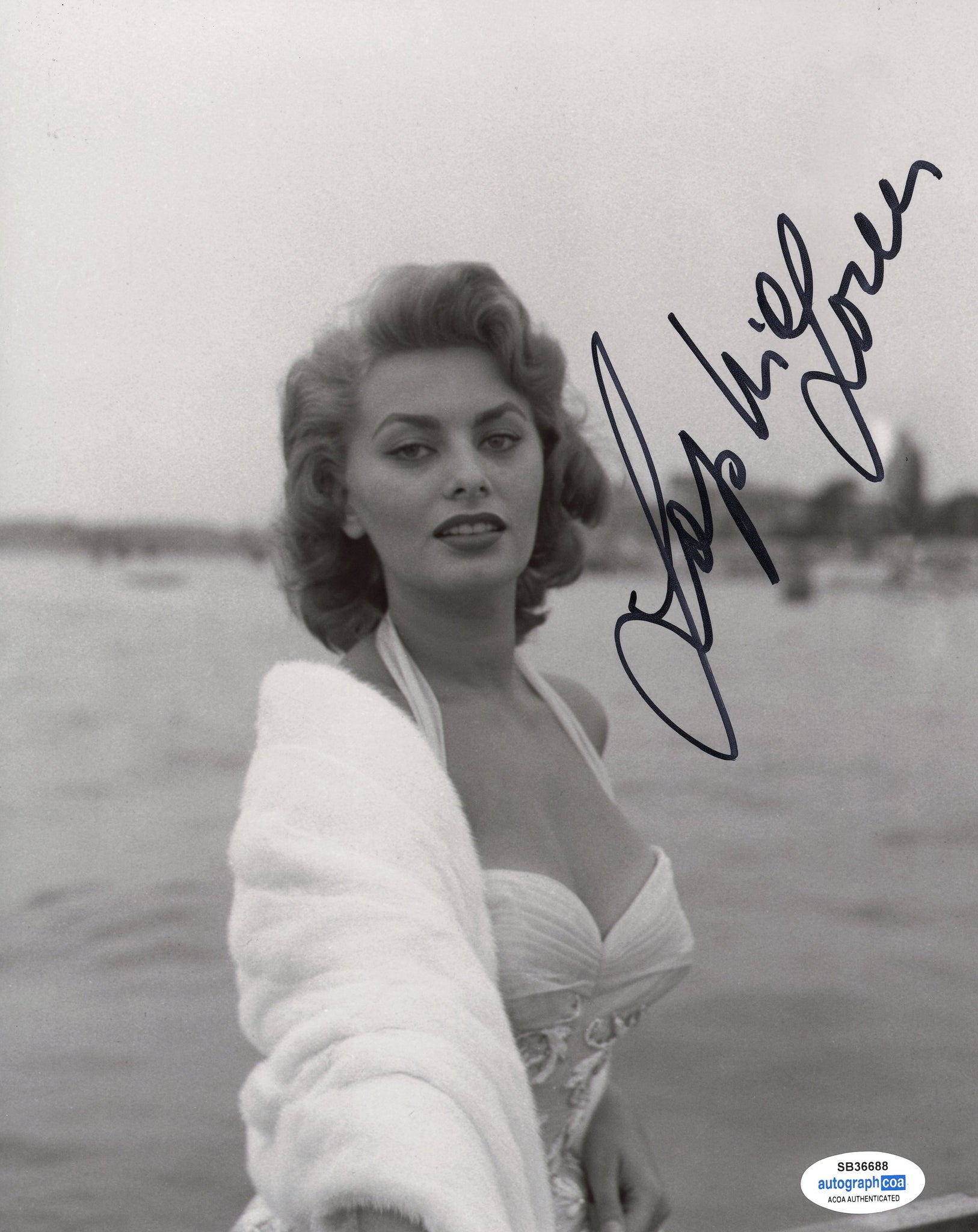 Sophia Loren Sexy Signed Autograph 8x10 Photo ACOA