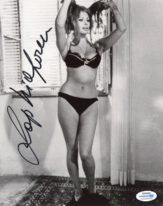 Sophia Loren Sexy Signed Autograph 8x10 Photo ACOA