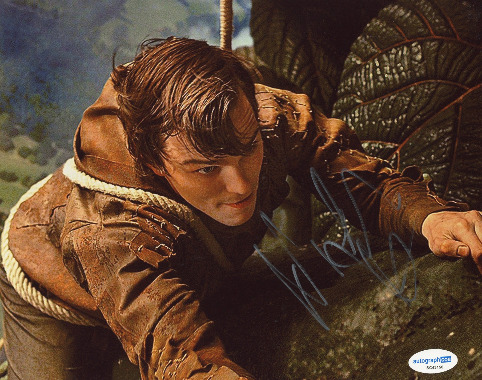 Nicholas Hoult Jack Giant Slayer Signed Autograph 8x10 Photo ACOA