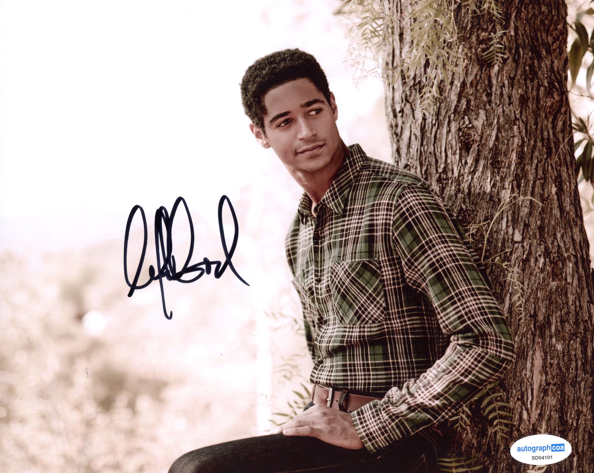 Alfred Enoch Signed Autograph 8x10 Photo ACOA