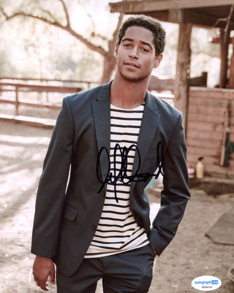 Alfred Enoch Signed Autograph 8x10 Photo ACOA