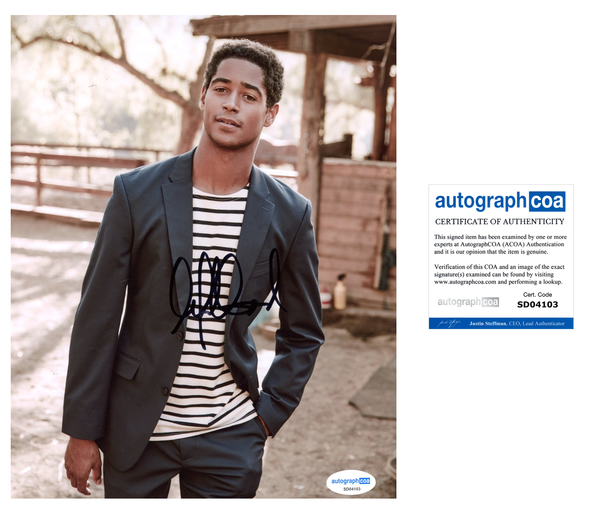 Alfred Enoch Signed Autograph 8x10 Photo ACOA