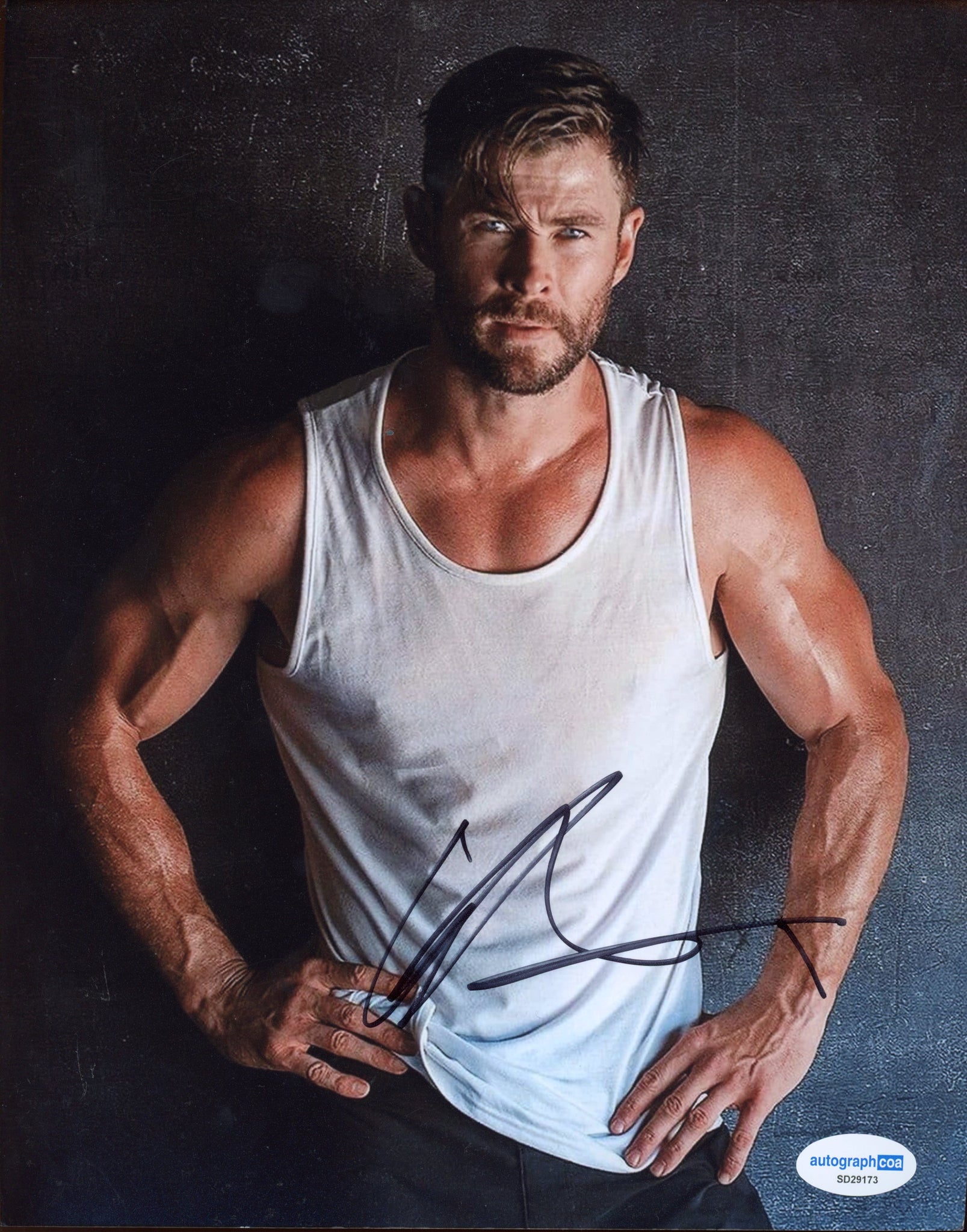 Chris Hemsworth Avengers Signed Autograph 8x10 Photo ACOA