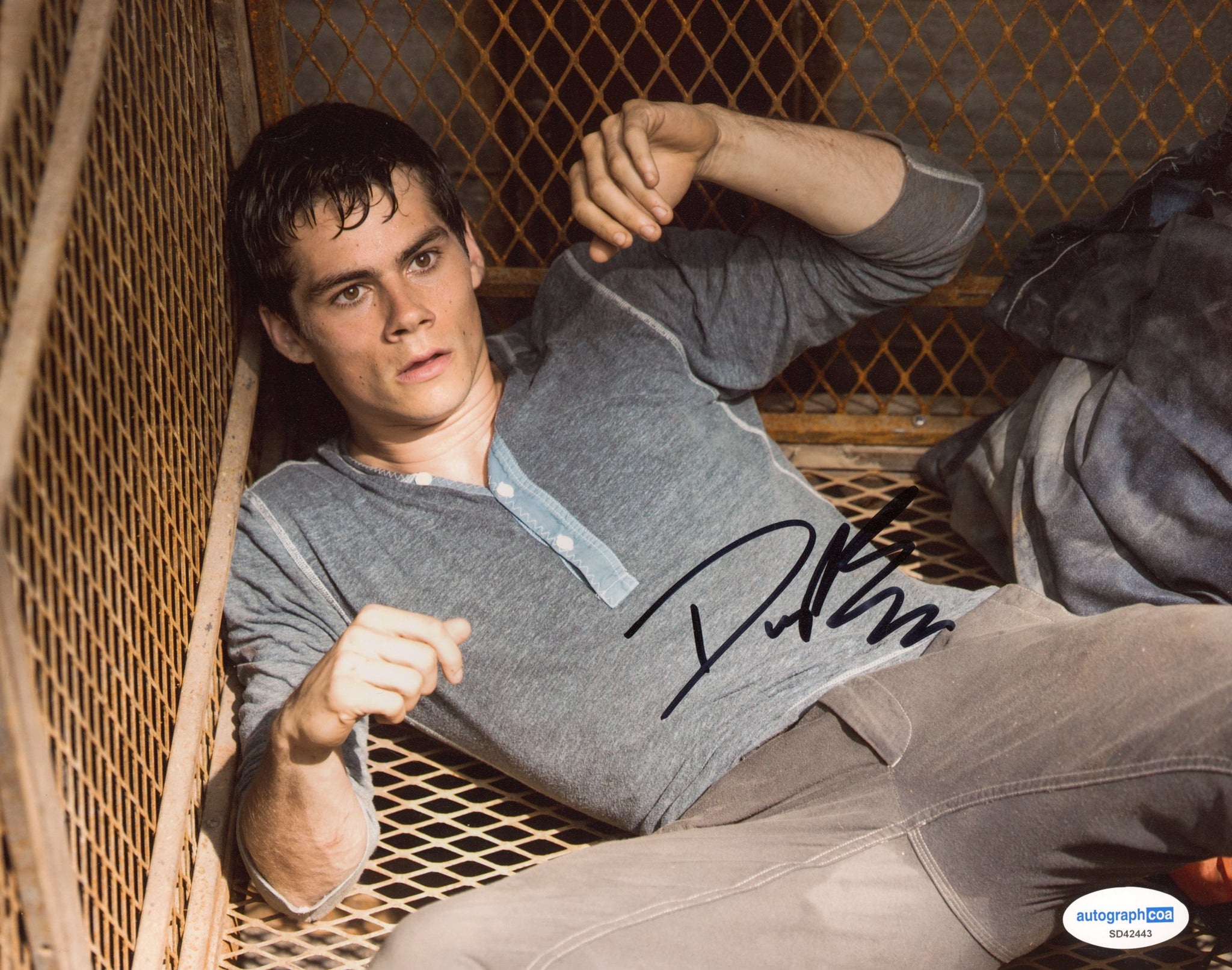 Dylan O'Brien Maze Runner Signed Autograph 8x10 Photo ACOA