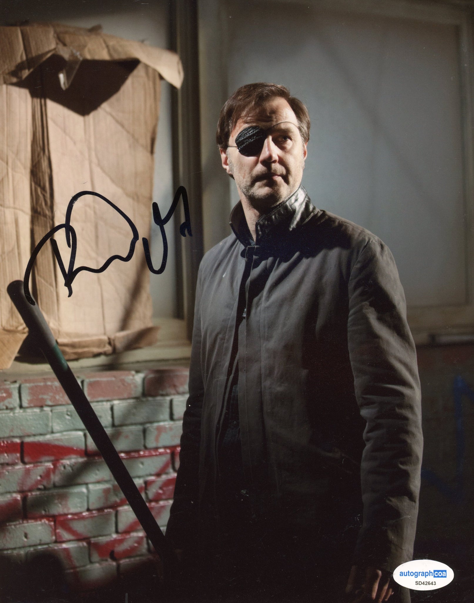 David Morrissey Walking Dead Signed Autograph 8x10 Photo ACOA