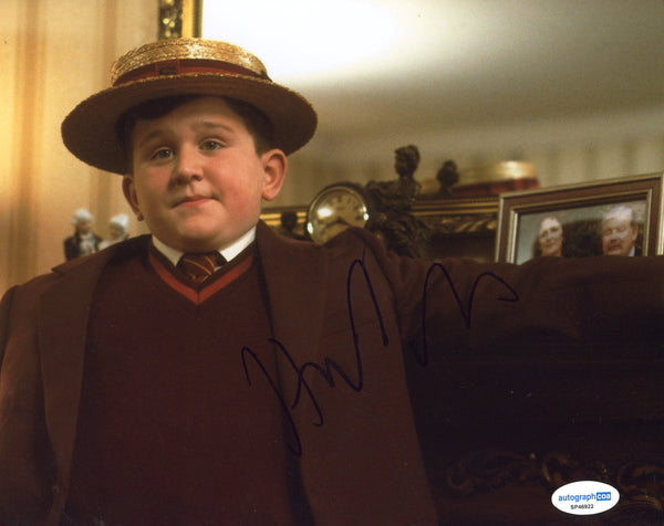 Harry Melling Harry Potter Signed Autograph 8x10 Photo ACOA