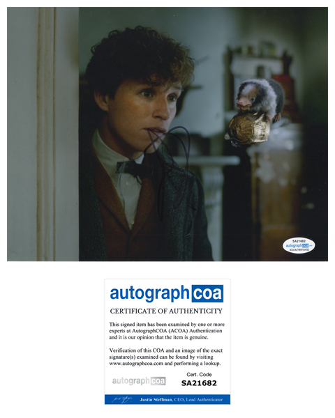 Eddie Redmayne Fantastic Beasts Harry Potter Signed Autograph 8x10 Photo ACOA - Outlaw Hobbies Authentic Autographs