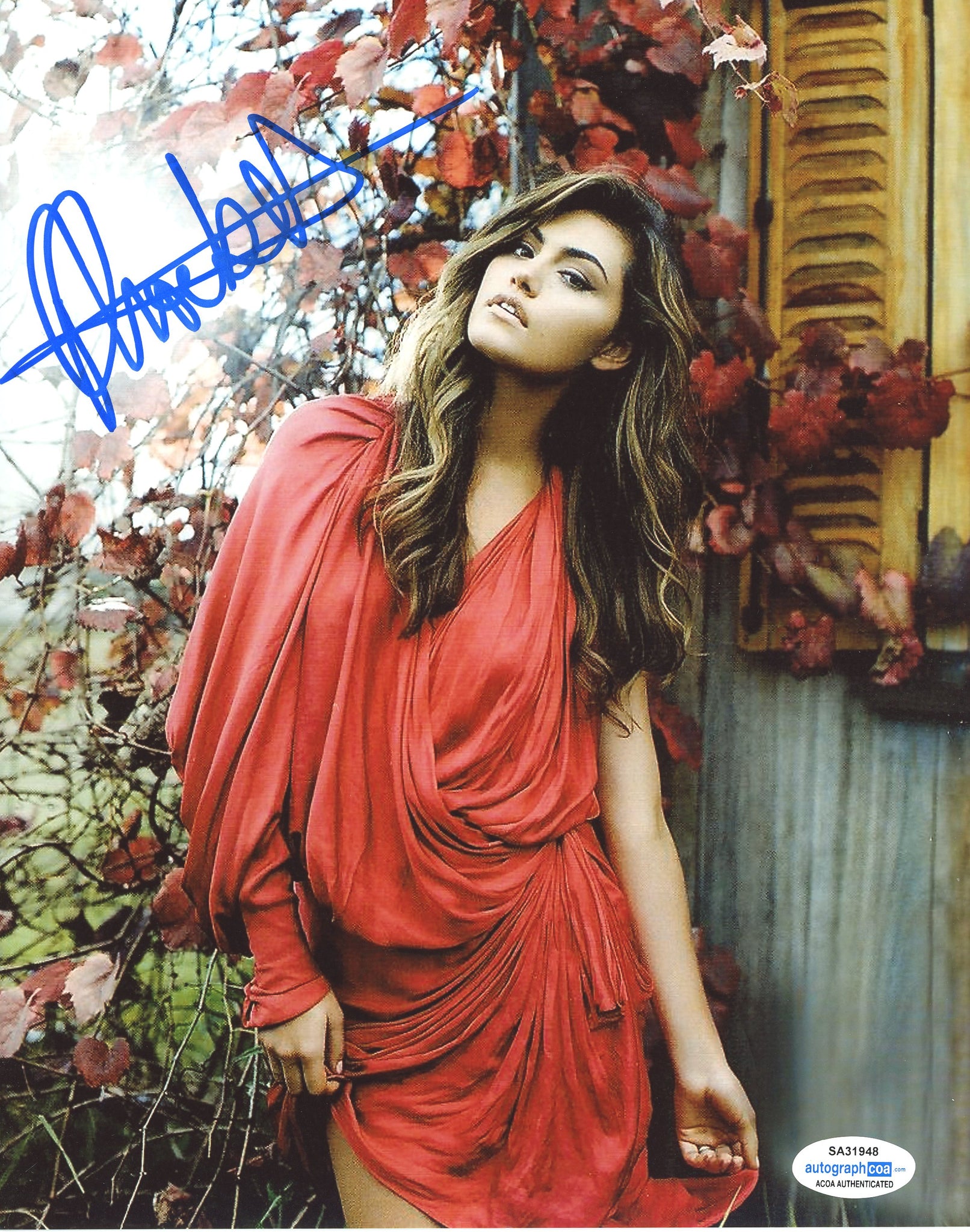 Phoebe Tonkin Sexy Signed Autograph 8x10 Photo ACOA - Outlaw Hobbies Authentic Autographs