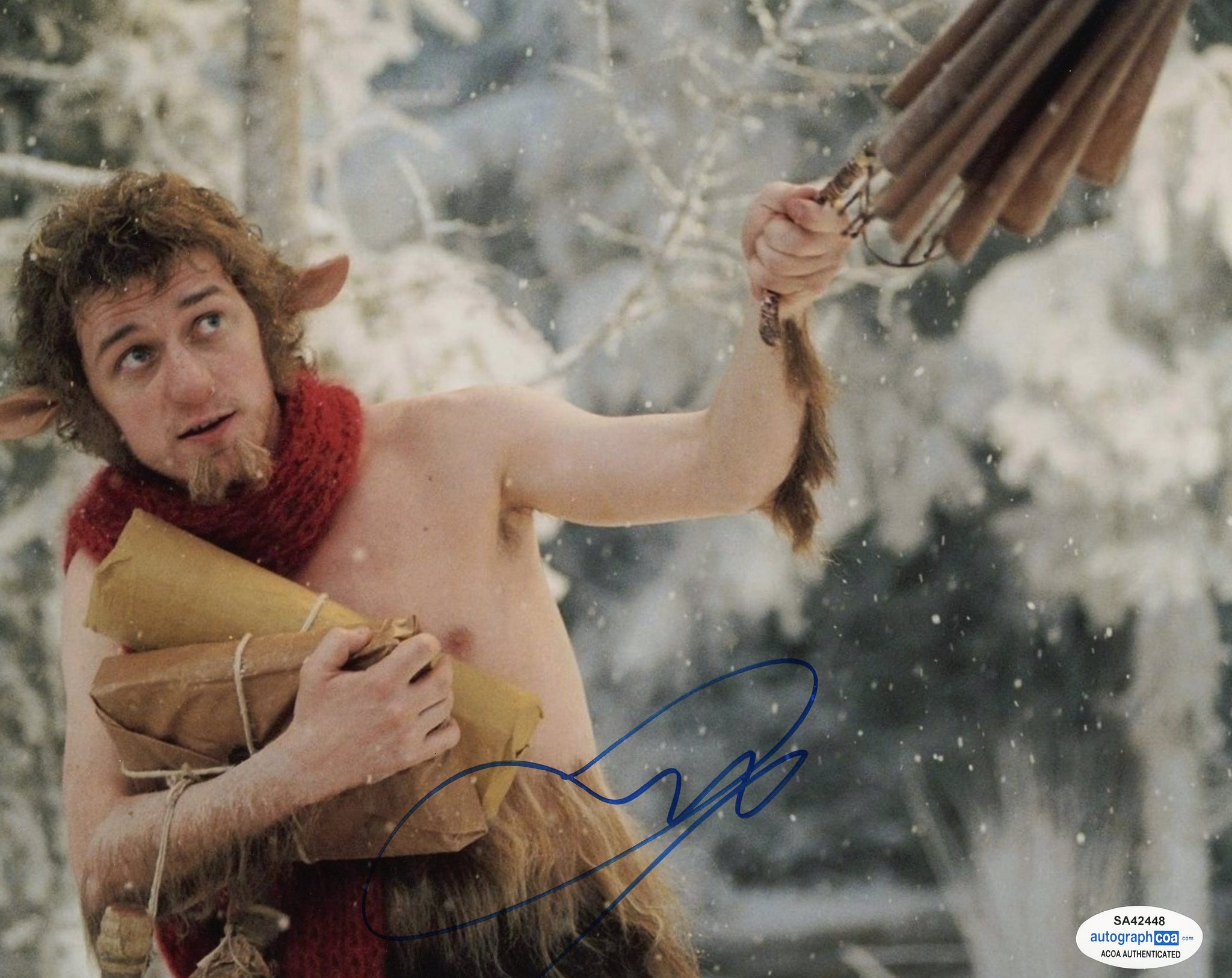 James McAvoy Chronicles of Narnia Signed Autograph 8x10 Photo ACOA #2 - Outlaw Hobbies Authentic Autographs