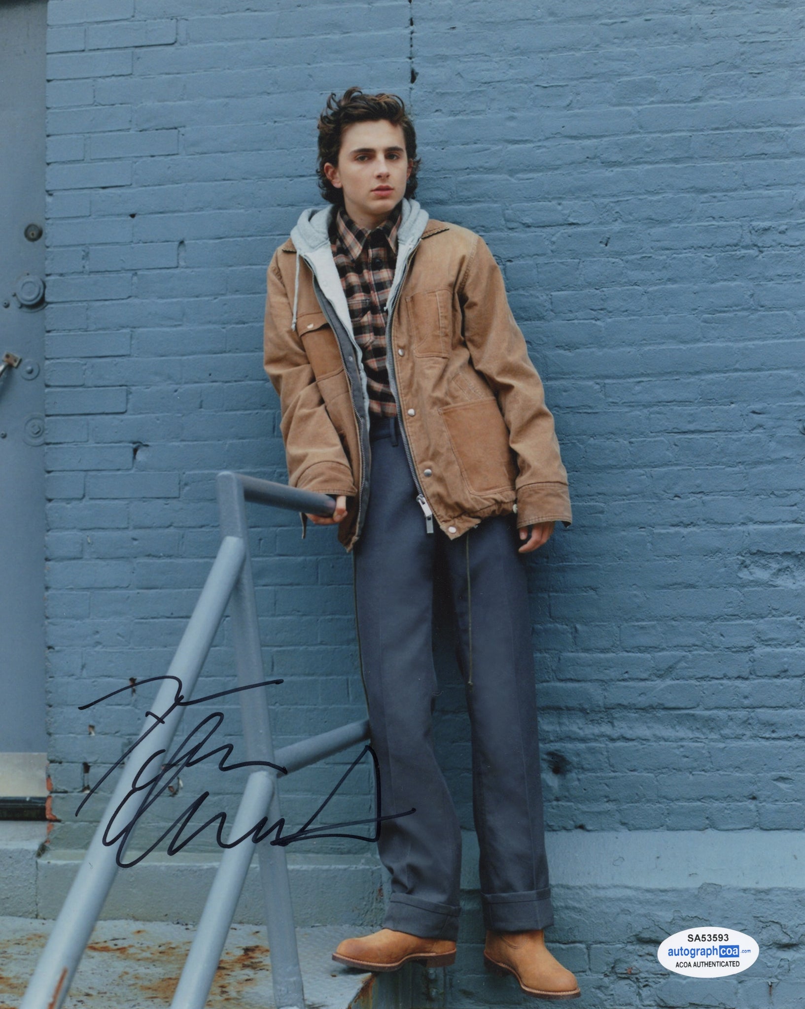 Timothee Chalamet Call Me By Your Name Signed Autograph 8x10 Photo ACOA ...