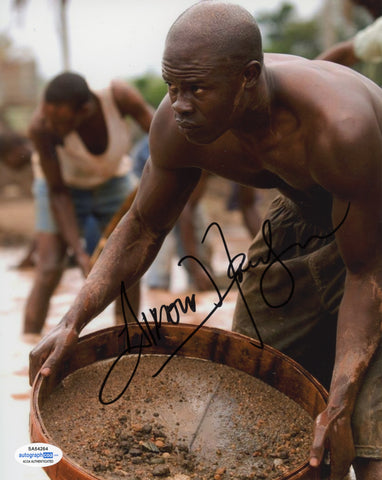 Djimon Hounsou Blood Diamond Signed Autograph 8x10 Photo ACOA