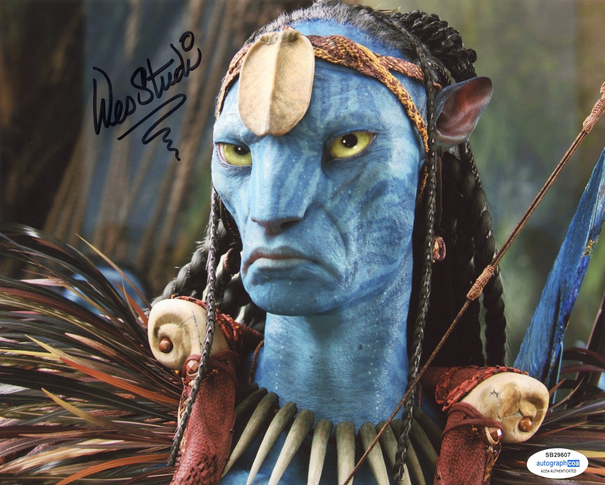 Wes Studi Avatar Signed Autograph 8x10 Photo ACOA