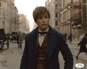 Eddie Redmayne Fantastic Beasts Signed Autograph 8x10 Photo ACOA