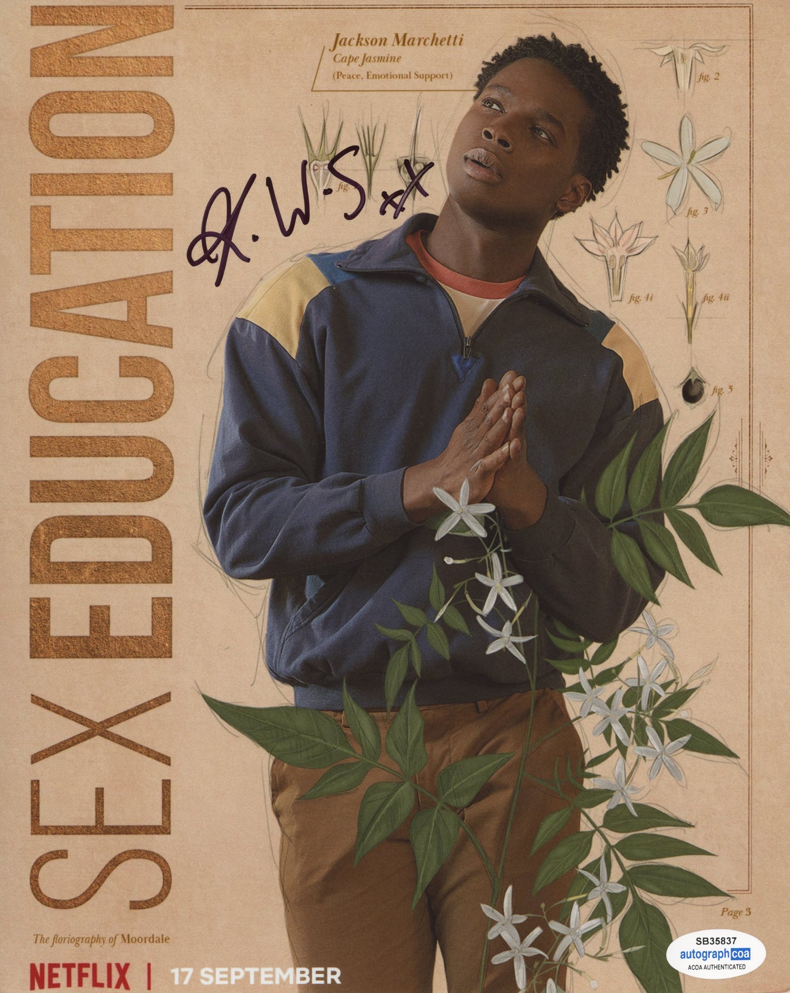 Kedar Williams-Stirling Sex Education Signed Autograph 8x10 Photo ACOA