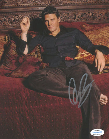 David Boreanaz Angel Buffy Signed Autograph 8x10 Photo ACOA