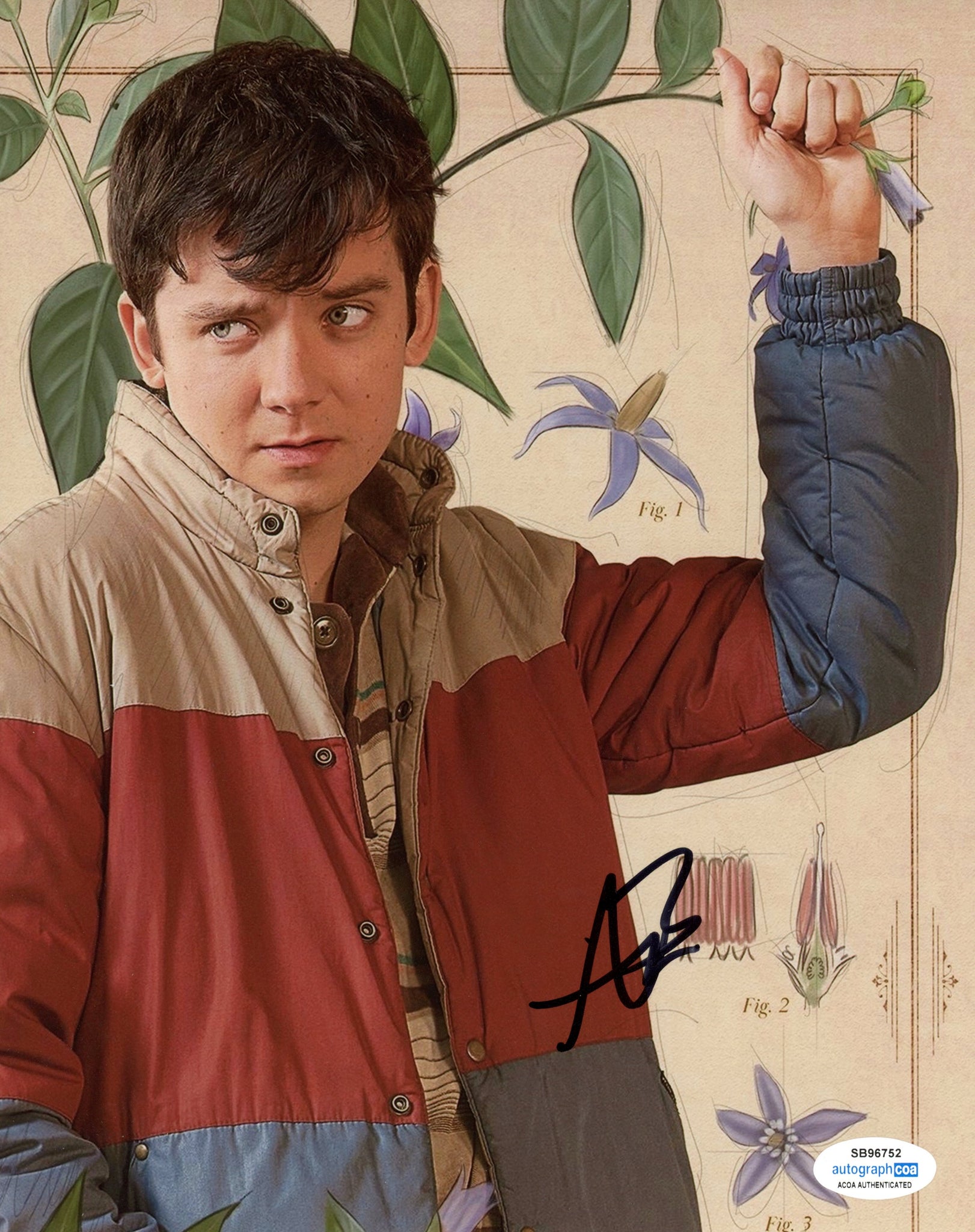 Asa Butterfield Sex Education Signed Autograph 8x10 Photo ACOA